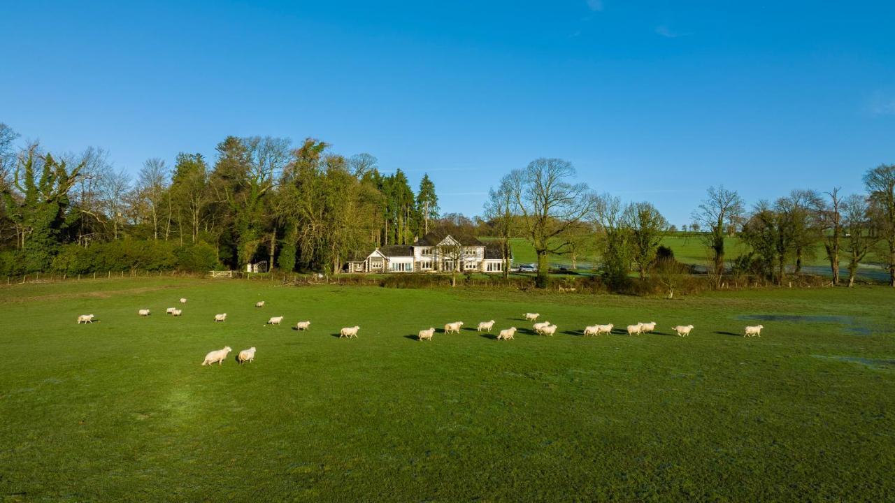 Plas Y Dderwen Bed And Breakfast Aberystwyth Zewnętrze zdjęcie