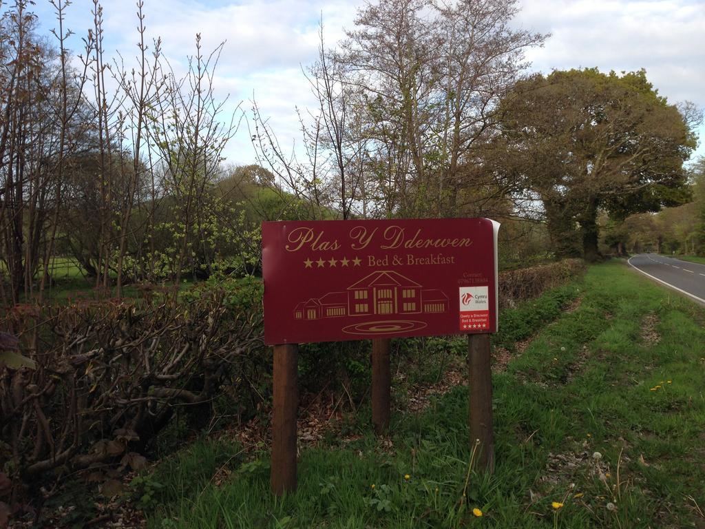 Plas Y Dderwen Bed And Breakfast Aberystwyth Zewnętrze zdjęcie