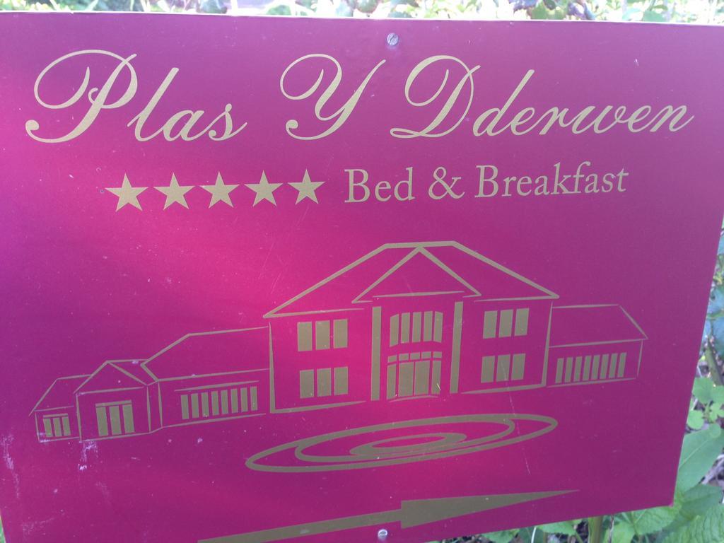 Plas Y Dderwen Bed And Breakfast Aberystwyth Zewnętrze zdjęcie