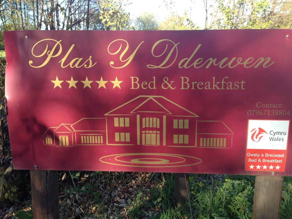 Plas Y Dderwen Bed And Breakfast Aberystwyth Zewnętrze zdjęcie